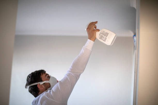 Best Toxic Mold Removal  in West, TX